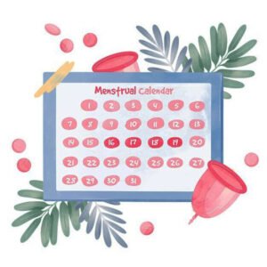 Menstrual Calendar