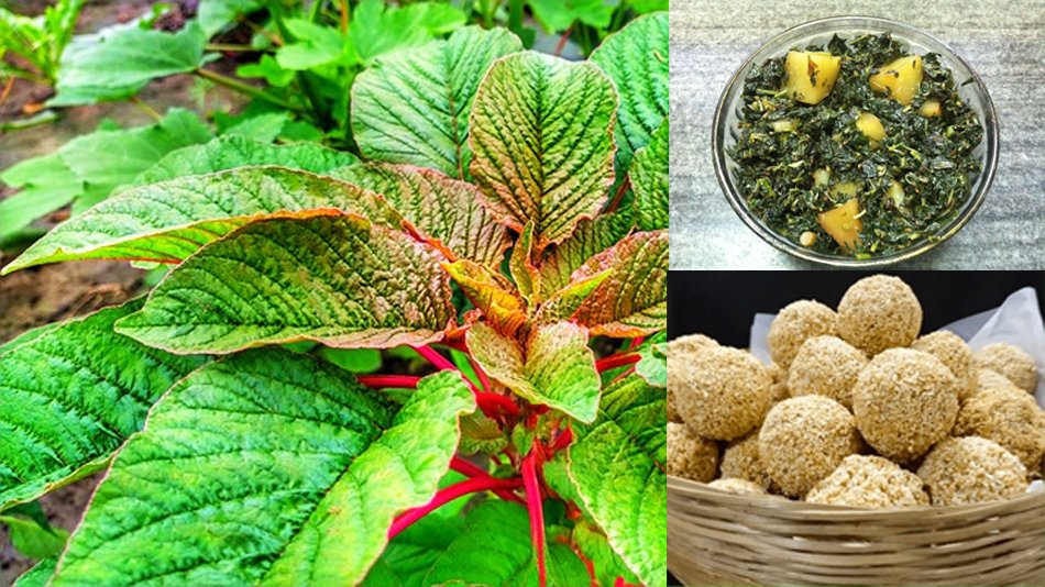 chaulai ke ladoo or sabji