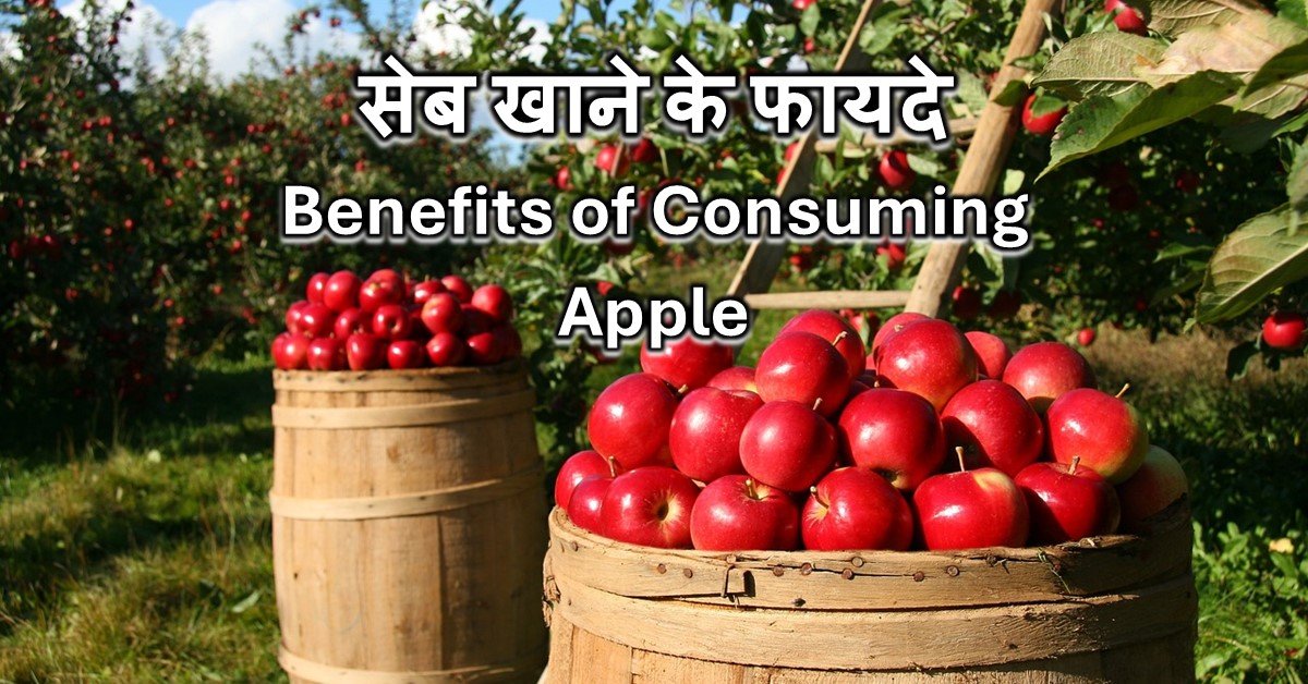 Read more about the article सेब खाने के फायदे – Benefits of Consuming Apple