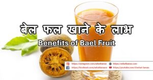 Read more about the article बेल फल खाने के लाभ – Benefits of Consuming Bael Fruit