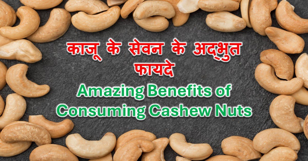 Read more about the article काजू सेवन के अद्भुत फायदे – Amazing Benefits of Cashew Nuts