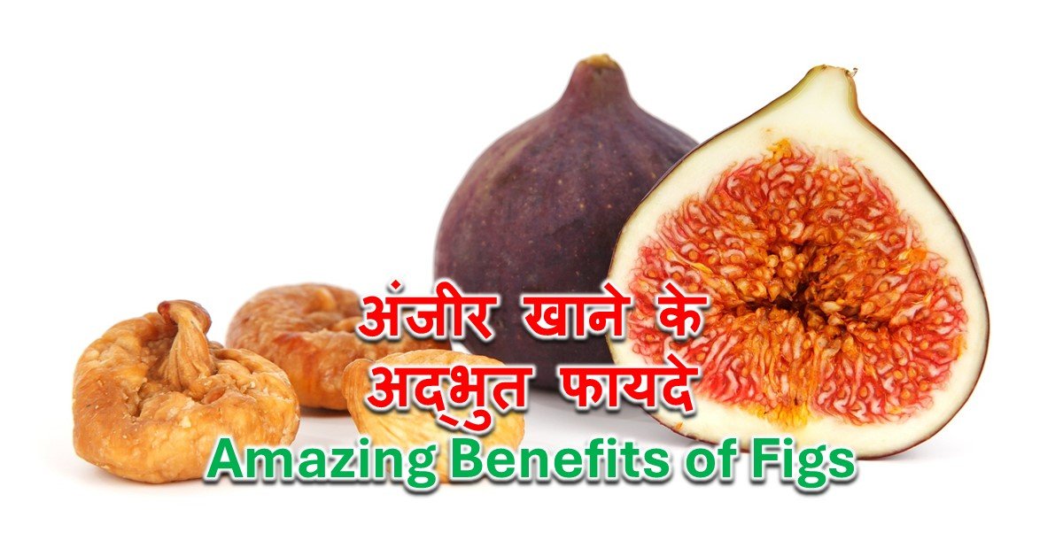 Read more about the article अंजीर खाने के अद्भुत फायदे – Amazing Benefits of Figs