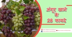 Read more about the article अंगूर खाने के 28 फायदे – 28 Benefits of Grapes