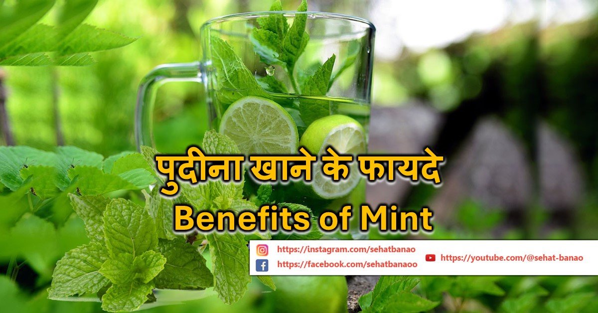 Read more about the article पुदीना खाने के फायदे – Benefits of Mint