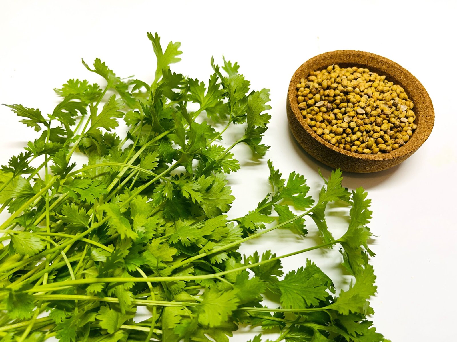 Coriander Leaves and Seeds Benefits