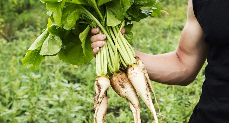 मूली सेवन के लाभ