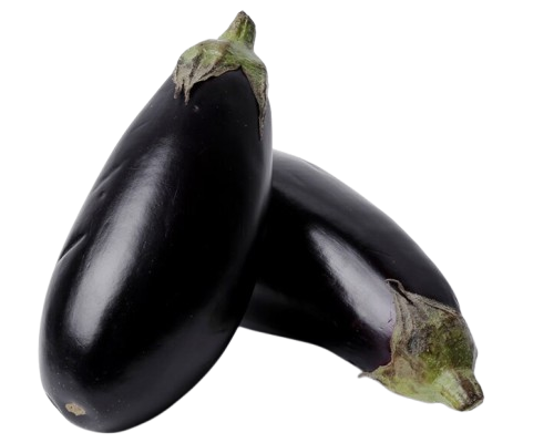 brinjal benefits