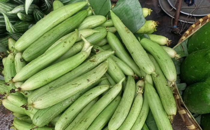 ridge gourd benefits