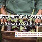 बैंगन खाने के 15 फायदे – 15 Benefits of Brinjal