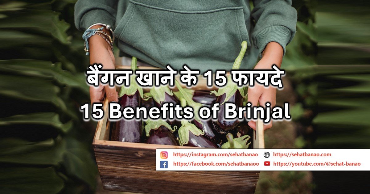 Read more about the article बैंगन खाने के 15 फायदे – 15 Benefits of Brinjal