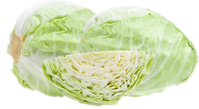 Cabbage Health Benefits