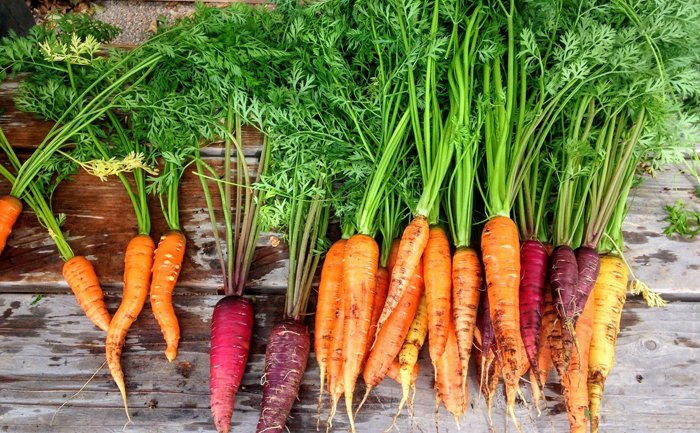 Baby Carrots for Good Health