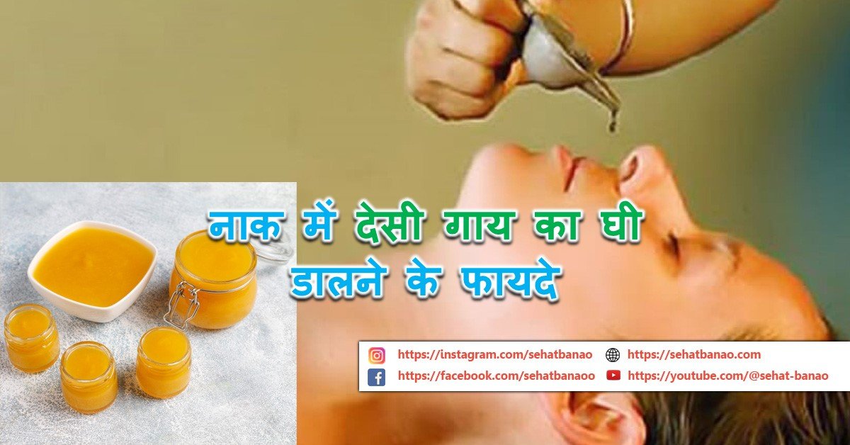 Read more about the article नाक में देसी गाय का घी डालने के फायदे – Benefits Of Putting Desi Cow Ghee In The Nose