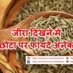 जीरा दिखने में छोटा पर फायदे अनेक – Cumin (Jeera) Is Small In Appearance But Has Many Benefits