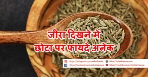 Read more about the article जीरा दिखने में छोटा पर फायदे अनेक – Cumin (Jeera) Is Small In Appearance But Has Many Benefits