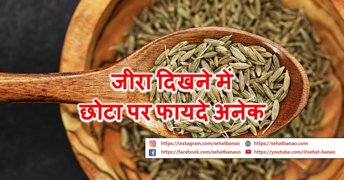 You are currently viewing जीरा दिखने में छोटा पर फायदे अनेक – Cumin (Jeera) Is Small In Appearance But Has Many Benefits