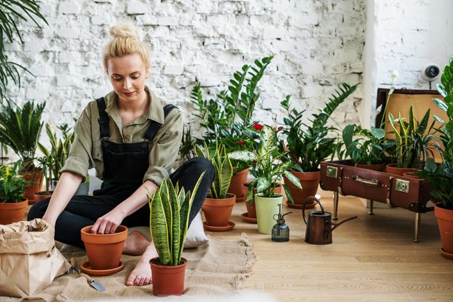 women doing gardening