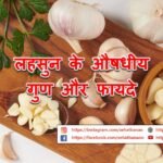 लहसुन के औषधीय गुण और फायदे – Garlic Benefits and Its Medicinal Properties