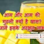 आम और आम की गुठली क्यों है खास? जानें इसके अद्भुत लाभ – Why are Mangoes and Mango Seeds Special? Know its Amazing Benefits