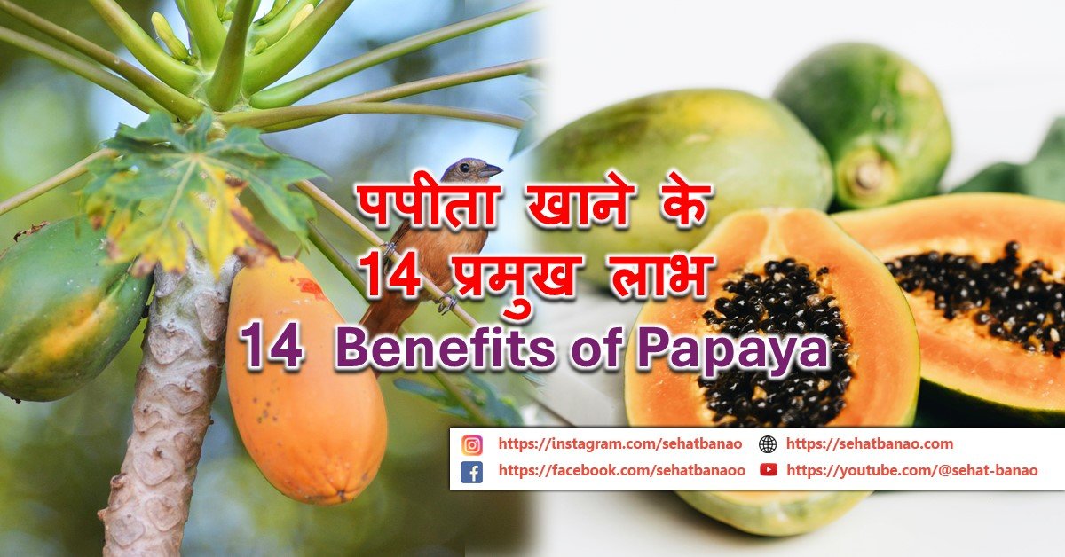 Read more about the article पपीता खाने के 14 प्रमुख लाभ – 14 Benefits of Papaya