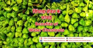 Read more about the article सिंघाड़ा सेवन के फायदे – Benefits of Water Chestnuts