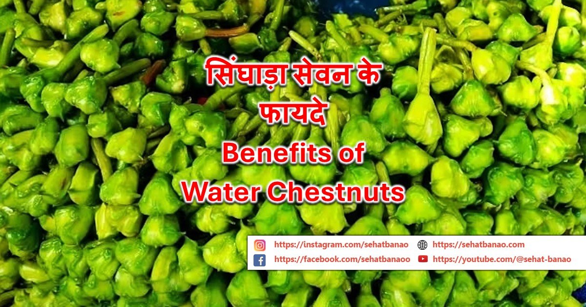Read more about the article सिंघाड़ा सेवन के फायदे – Benefits of Water Chestnuts