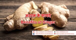 Read more about the article अदरक के फायदे – Benefits of Ginger