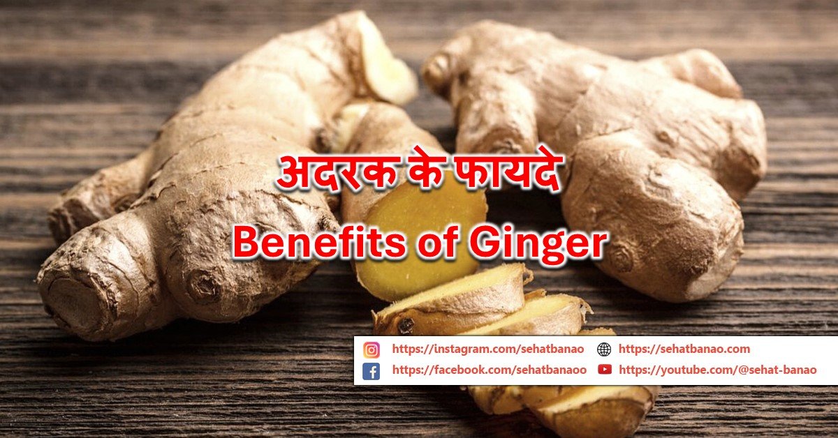 Read more about the article अदरक के फायदे – Benefits of Ginger