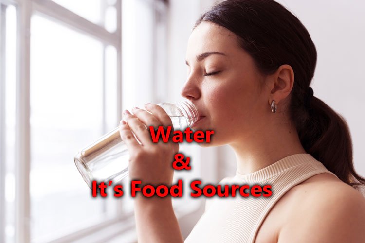 Drinking Water and It's Food Sources 