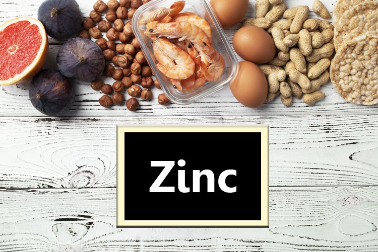 Zinc Food Sources